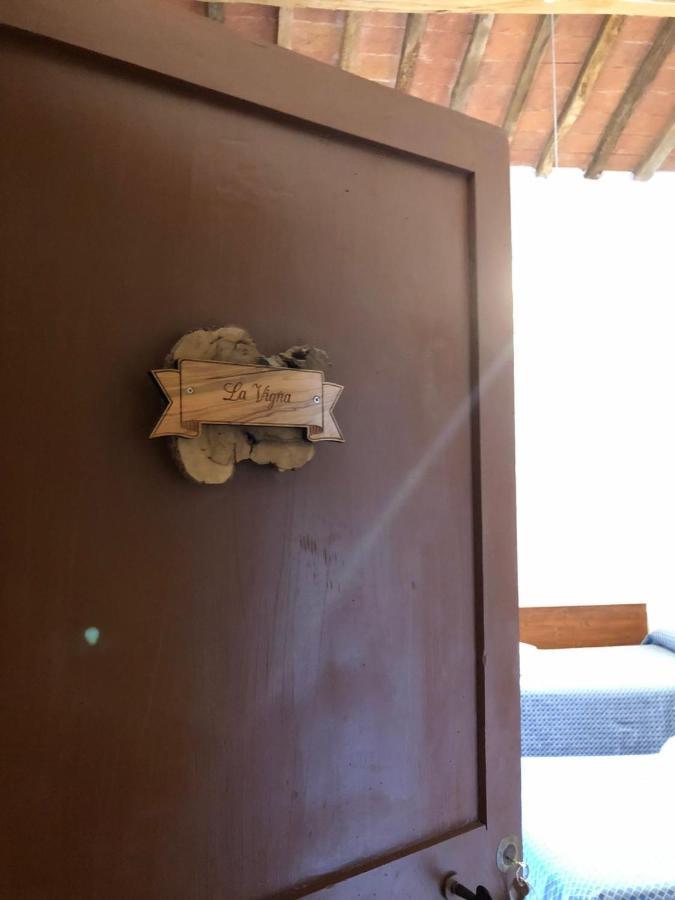Agriturismo Diffuso Monte Oliveto Maggiore Chiusure ภายนอก รูปภาพ
