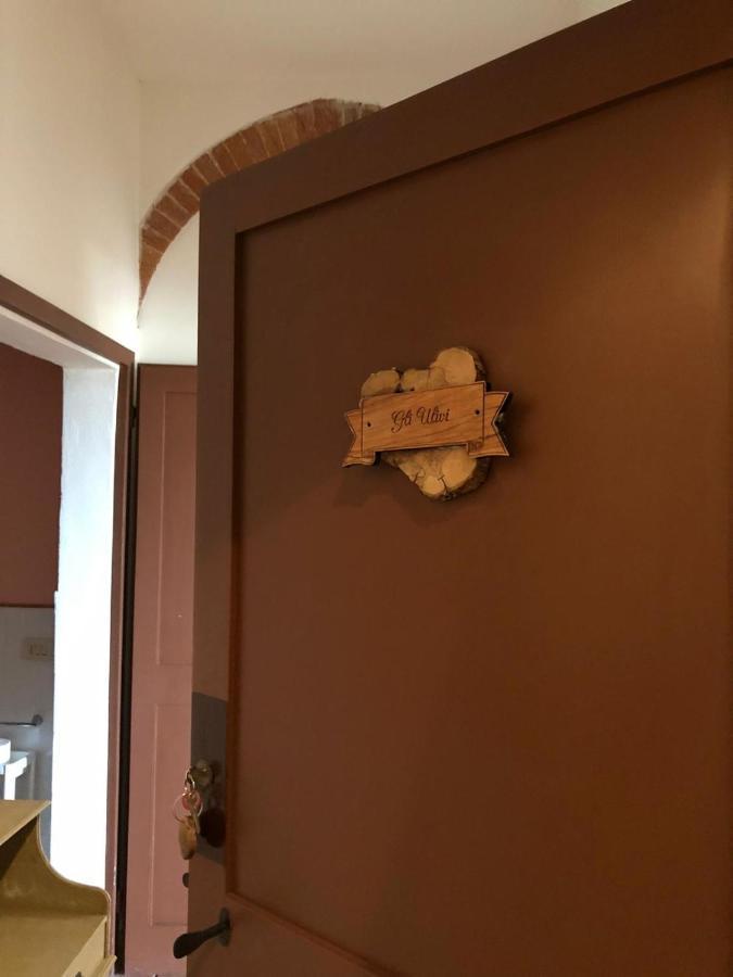 Agriturismo Diffuso Monte Oliveto Maggiore Chiusure ภายนอก รูปภาพ