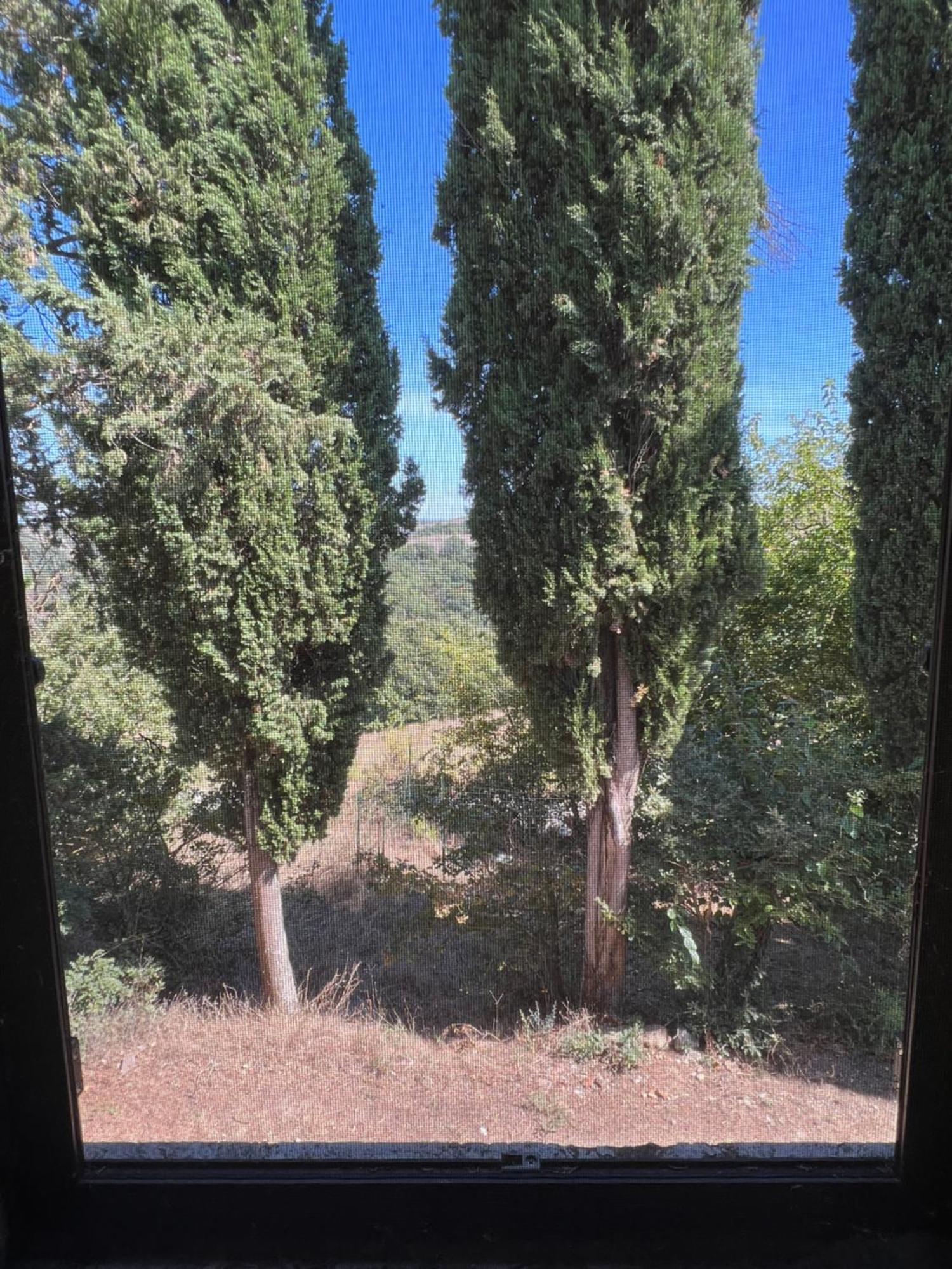 Agriturismo Diffuso Monte Oliveto Maggiore Chiusure ภายนอก รูปภาพ